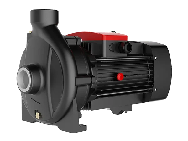 FANCY FCD threaded-port centrifugal pump