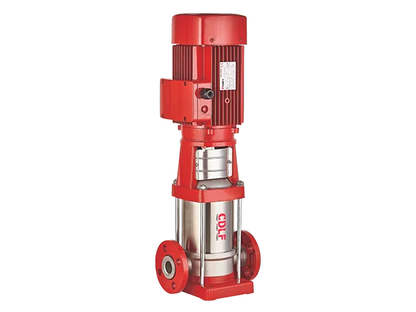 FANCY CDLF vertical multistage pump: a red motor above a stainless steel pump body, with the flanged ports at its base