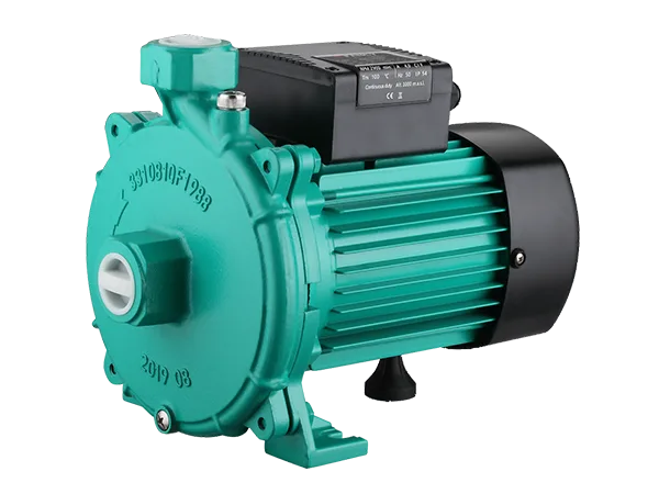 FANCY PUN single-impeller centrifugal pump with threaded ports